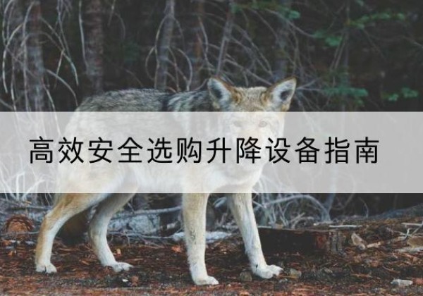 坪山升降货梯厂家推荐-*安全选购升降设备指南