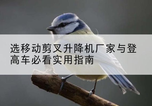 坪山电动升降机厂家-选移动剪叉升降机厂家与登高车必看实用指南