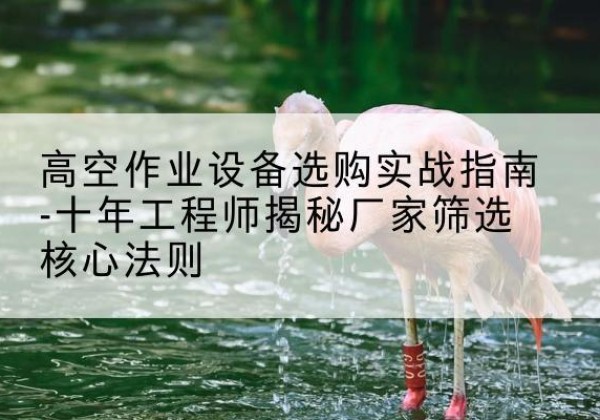 坪山剪叉式升降机厂家-高空作业设备选购实战指南-十年工程师揭秘厂家筛选核心法则